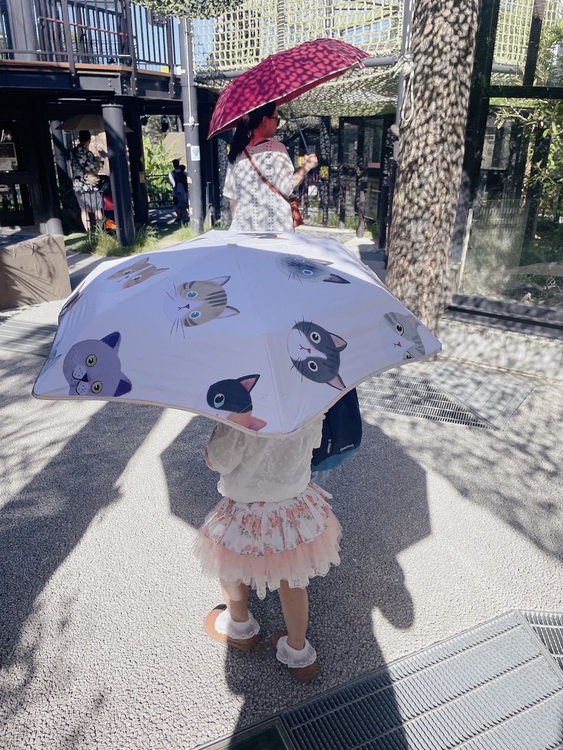 umbrella